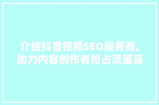 介绍抖音视频SEO服务商,助力内容创作者抢占流量高地