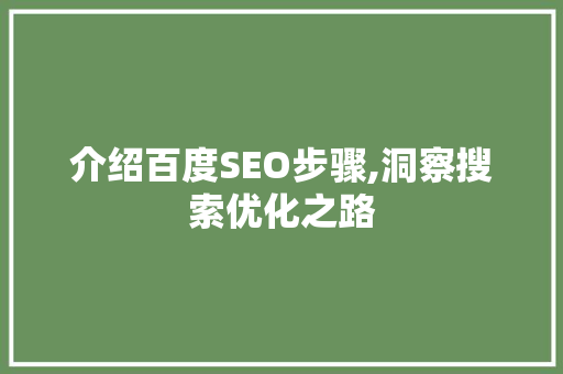 介绍百度SEO步骤,洞察搜索优化之路  第1张