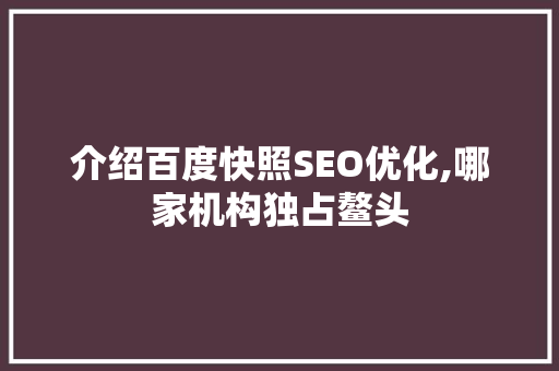 介绍百度快照SEO优化,哪家机构独占鳌头