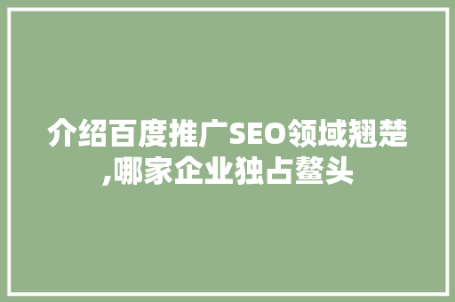 介绍百度推广SEO领域翘楚,哪家企业独占鳌头