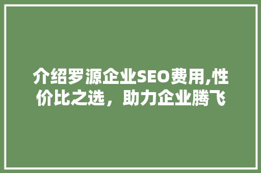 介绍罗源企业SEO费用,性价比之选，助力企业腾飞