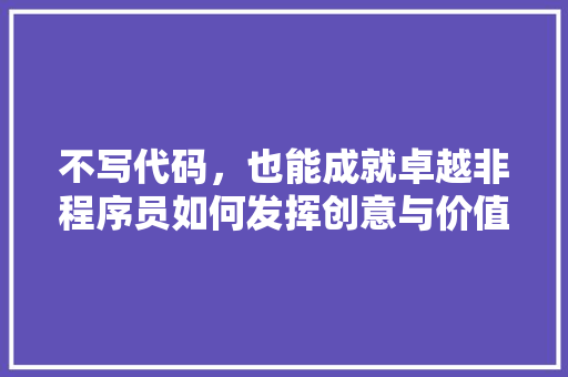 不写代码，也能成就卓越非程序员如何发挥创意与价值