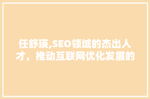 任舒瑛,SEO领域的杰出人才，推动互联网优化发展的领军人物