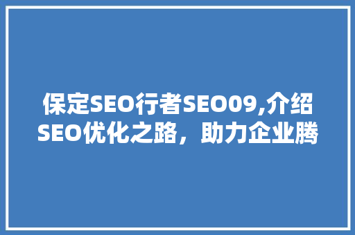 保定SEO行者SEO09,介绍SEO优化之路，助力企业腾飞