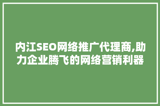 内江SEO网络推广代理商,助力企业腾飞的网络营销利器