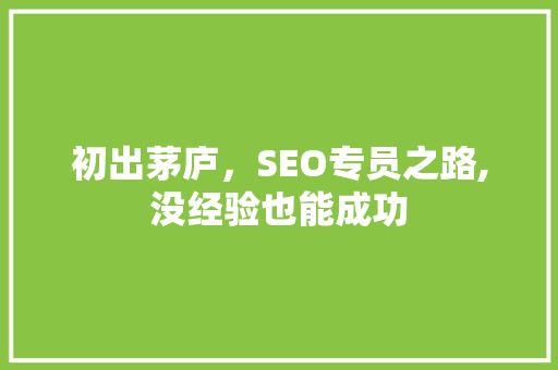 初出茅庐，SEO专员之路,没经验也能成功