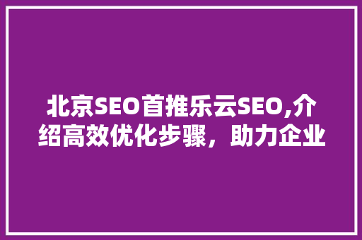 北京SEO首推乐云SEO,介绍高效优化步骤，助力企业腾飞