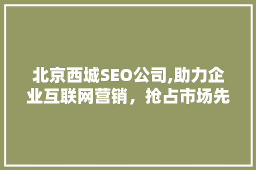北京西城SEO公司,助力企业互联网营销，抢占市场先机