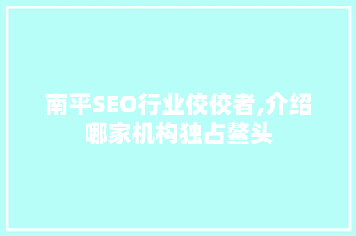 南平SEO行业佼佼者,介绍哪家机构独占鳌头