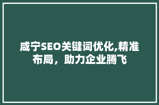 咸宁SEO关键词优化,精准布局，助力企业腾飞