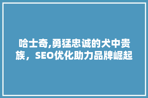 哈士奇,勇猛忠诚的犬中贵族，SEO优化助力品牌崛起