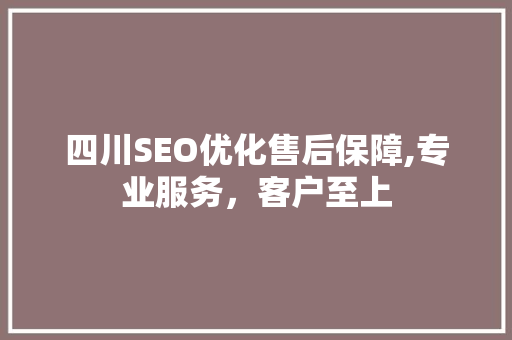 四川SEO优化售后保障,专业服务，客户至上