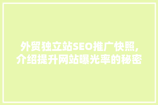 外贸独立站SEO推广快照,介绍提升网站曝光率的秘密武器