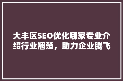 大丰区SEO优化哪家专业介绍行业翘楚，助力企业腾飞