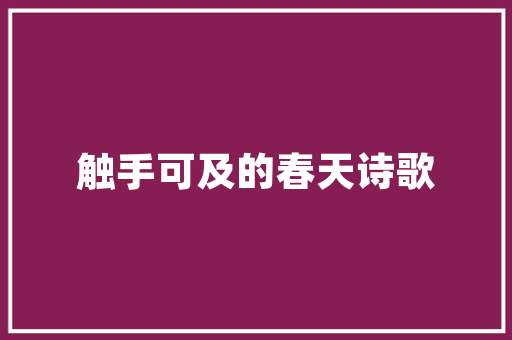 天心区长沙SEO优化服务,助力企业互联网营销的利器