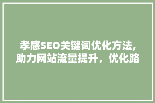 孝感SEO关键词优化方法,助力网站流量提升，优化路径介绍！