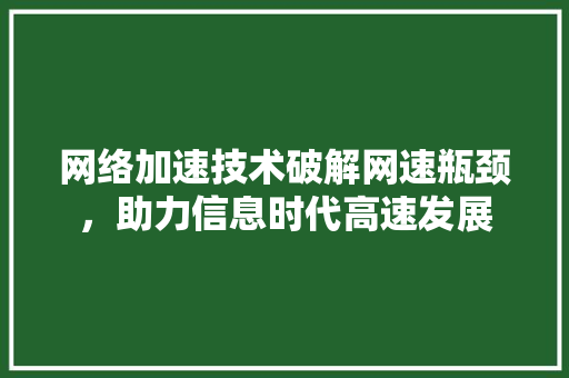 网络加速技术破解网速瓶颈，助力信息时代高速发展