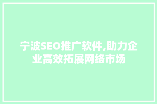 宁波SEO推广软件,助力企业高效拓展网络市场