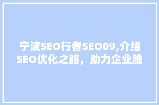 宁波SEO行者SEO09,介绍SEO优化之路，助力企业腾飞