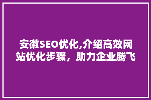 安徽SEO优化,介绍高效网站优化步骤，助力企业腾飞