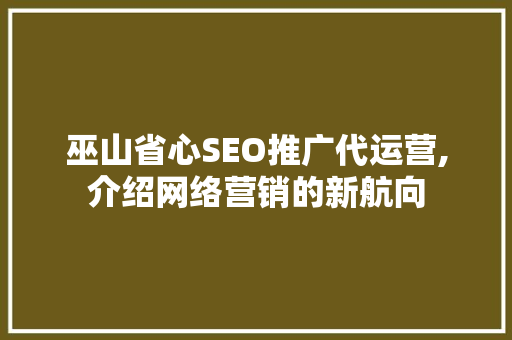 巫山省心SEO推广代运营,介绍网络营销的新航向