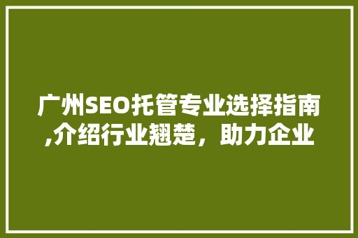 广州SEO托管专业选择指南,介绍行业翘楚，助力企业腾飞
