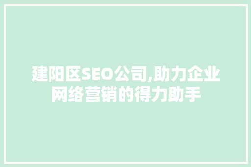 建阳区SEO公司,助力企业网络营销的得力助手