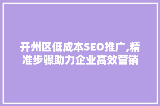 开州区低成本SEO推广,精准步骤助力企业高效营销