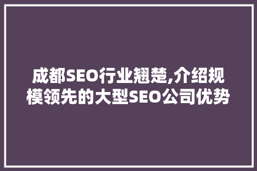 成都SEO行业翘楚,介绍规模领先的大型SEO公司优势与步骤