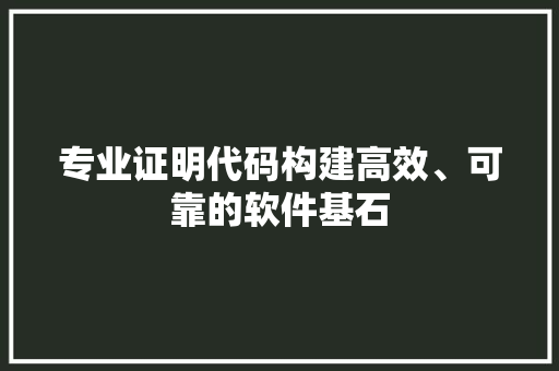 专业证明代码构建高效、可靠的软件基石