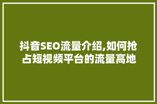 抖音SEO流量介绍,如何抢占短视频平台的流量高地