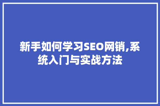 新手如何学习SEO网销,系统入门与实战方法