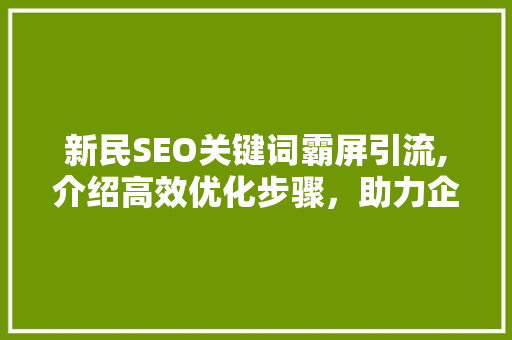 新民SEO关键词霸屏引流,介绍高效优化步骤，助力企业腾飞