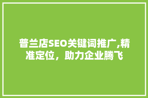 普兰店SEO关键词推广,精准定位，助力企业腾飞