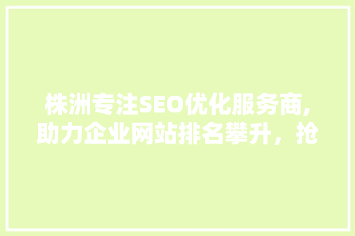 株洲专注SEO优化服务商,助力企业网站排名攀升，抢占网络营销制高点