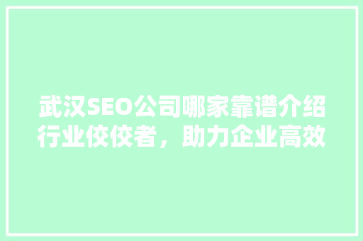 武汉SEO公司哪家靠谱介绍行业佼佼者，助力企业高效营销