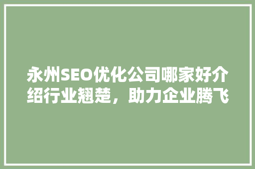 永州SEO优化公司哪家好介绍行业翘楚，助力企业腾飞