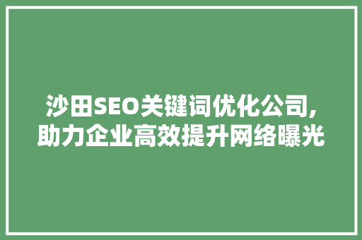 沙田SEO关键词优化公司,助力企业高效提升网络曝光度
