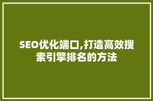 SEO优化端口,打造高效搜索引擎排名的方法