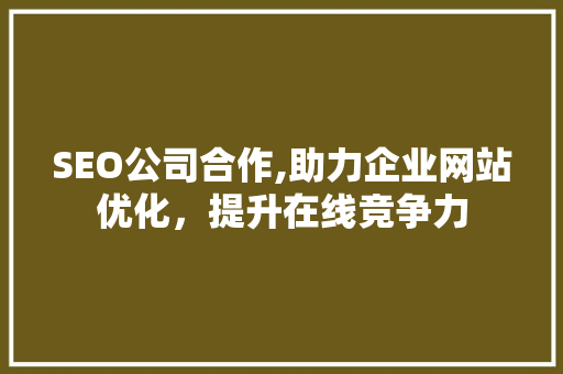 SEO公司合作,助力企业网站优化，提升在线竞争力