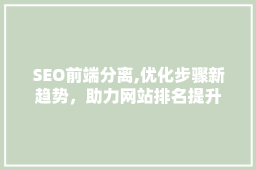 SEO前端分离,优化步骤新趋势，助力网站排名提升