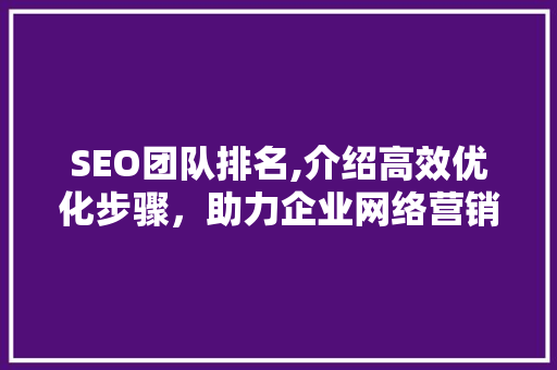 SEO团队排名,介绍高效优化步骤，助力企业网络营销腾飞