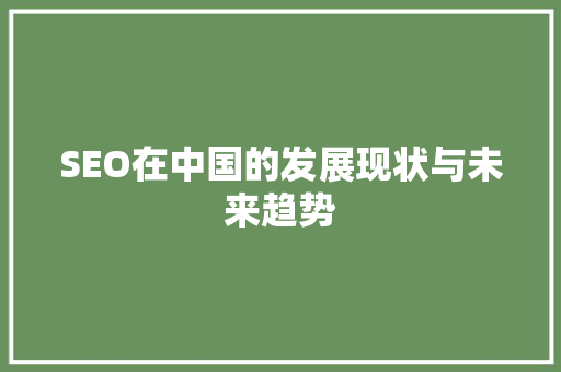 SEO在中国的发展现状与未来趋势