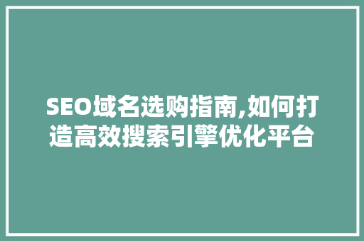SEO域名选购指南,如何打造高效搜索引擎优化平台
