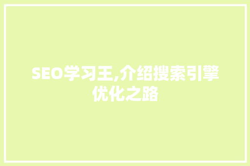 SEO学习王,介绍搜索引擎优化之路