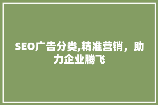 SEO广告分类,精准营销，助力企业腾飞