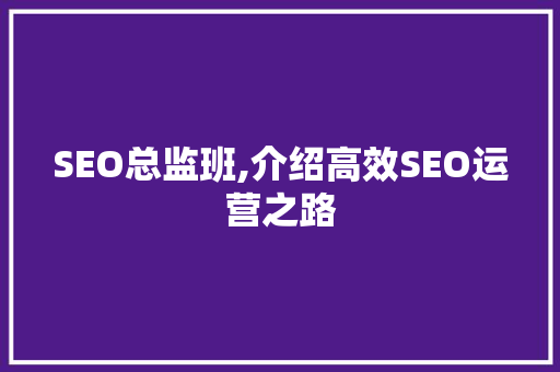 SEO总监班,介绍高效SEO运营之路