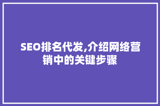 SEO排名代发,介绍网络营销中的关键步骤
