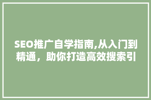 SEO推广自学指南,从入门到精通，助你打造高效搜索引擎优化步骤