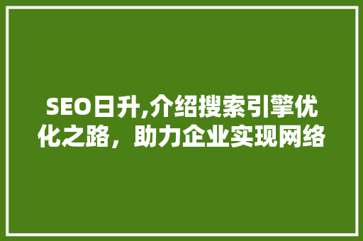 SEO日升,介绍搜索引擎优化之路，助力企业实现网络营销新突破